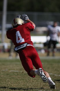 爱游戏ayx-中超球队传球链路密集度评分系统