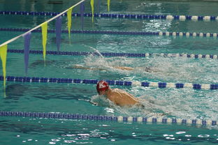 爱游戏体育官网-全国大学生花样游泳大赛优秀节目连连，2020年全国花样游泳比赛