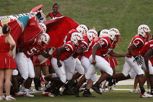 爱游戏官网充值-76人球队文化墙正式揭幕展示历史荣誉，76人队图案